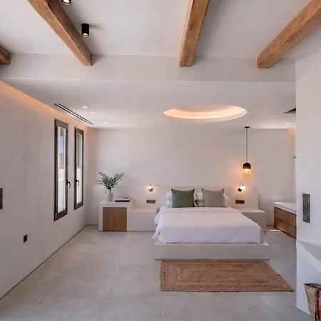 Hotel The Lofts Paros Executive *