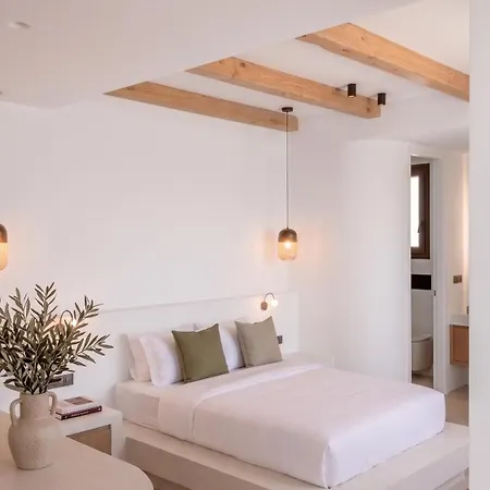 Hotel The Lofts Paros Executive Nausa