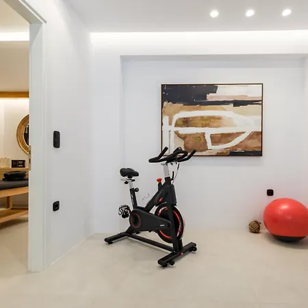 The Lofts Paros Executive Hotel *